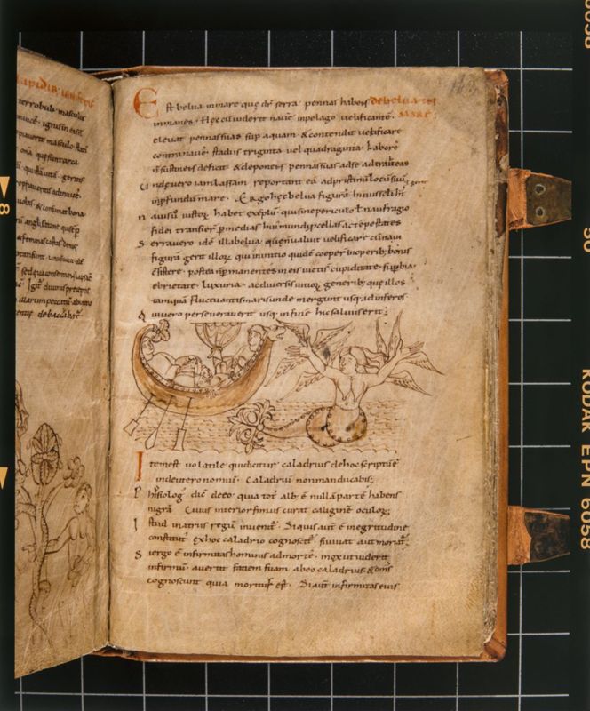 Prudence, Psychomachia; Physiologus