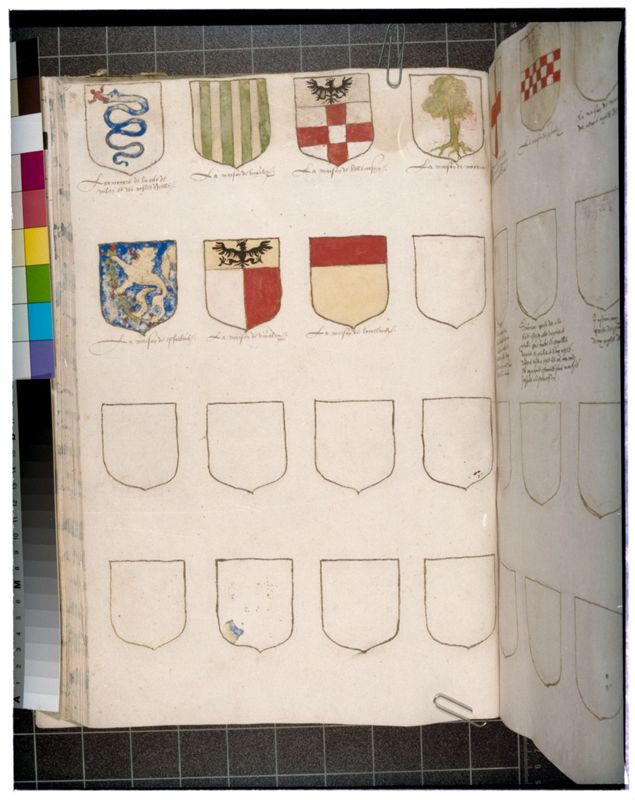 Universeel wapenboek