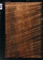 KM004862