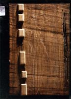 KM004864