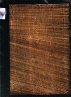 KM004866