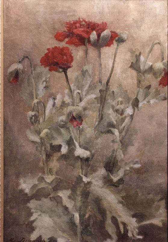 Fleurs rouges avec feuilles vertes