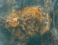 KM005405