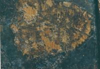 KM005406