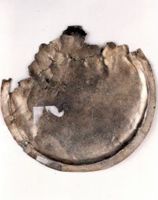 KM005605
