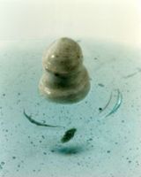 KM006962
