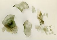 KM008193