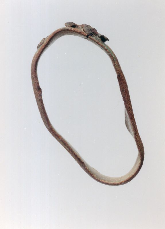 bague aux aigles