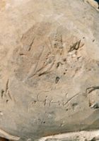 KM009401