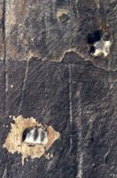 KM009571