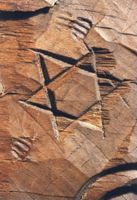 KM009596