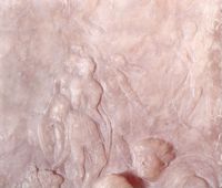 KM014263