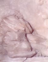 KM014309
