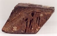 KM014753