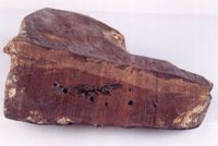 KM014791