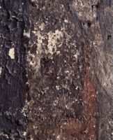 KM014931