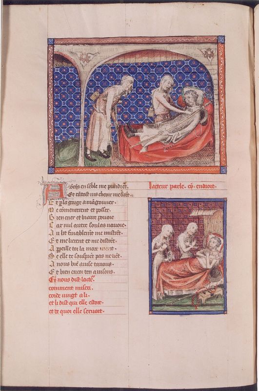 Guillaume de Digulleville, Pèlerinages : Pélerinage de la vie humaine (fol. 1-113)