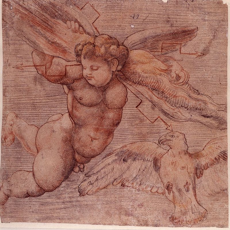 Album d'Arenberg : putto ailé (aigle de Jupiter et angelot tenant les foudres)