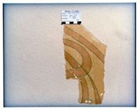 KM016815