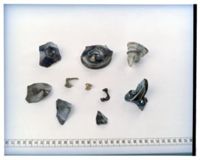 KM016837
