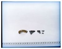 KM016838
