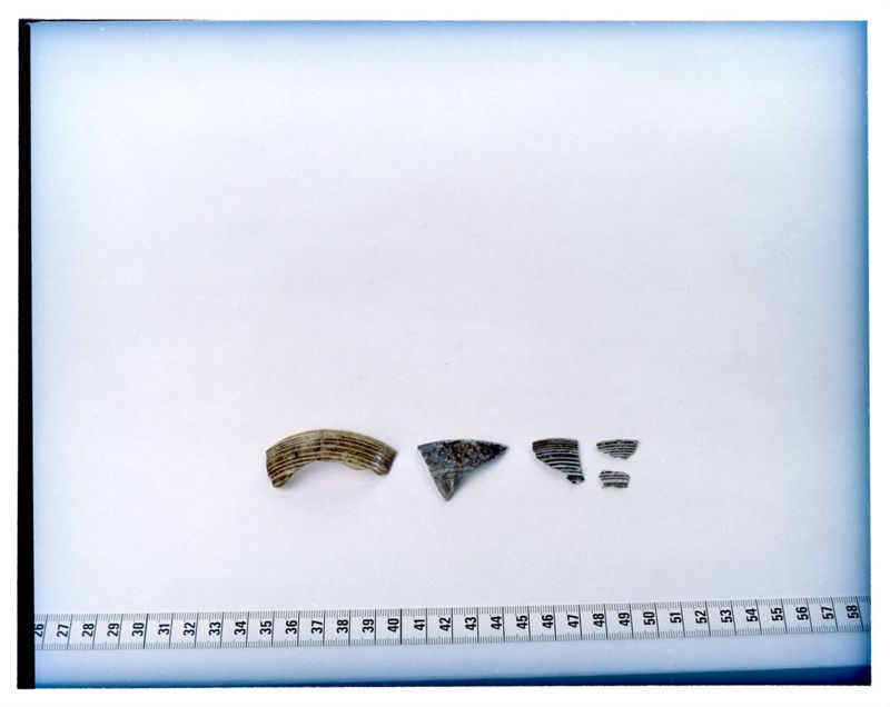 Fragments de verres émaillés