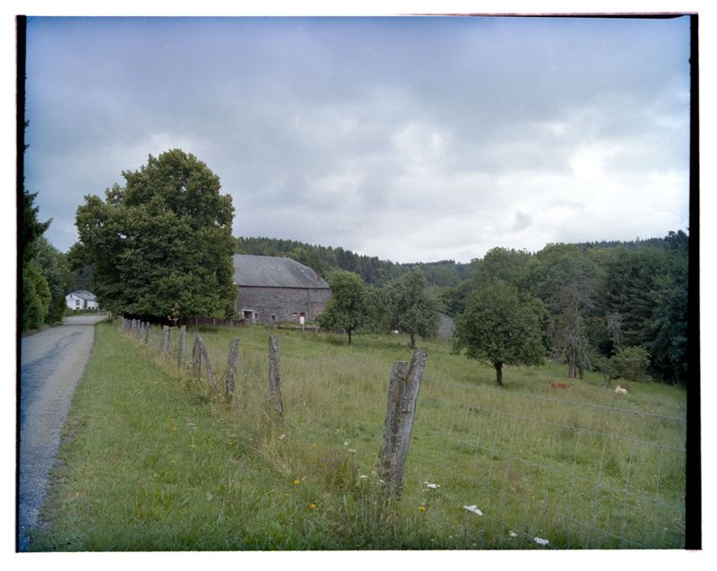 chemin rural / Aspect[Cornimont]