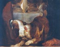 KN003199