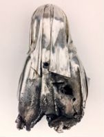 KN004553