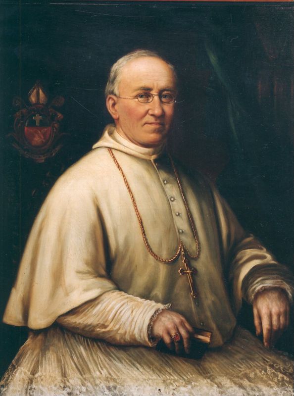 Portret van Alexander van Put, abt 1876-1897