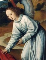 KN006979
