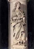 KN007063