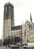 KN008390