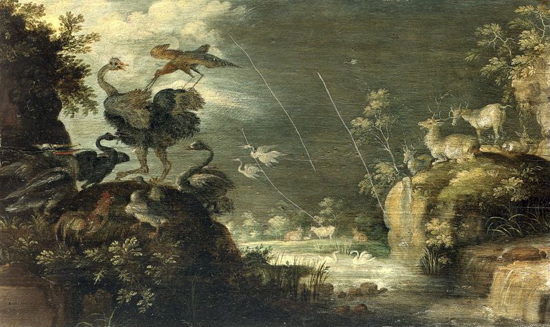 Landschap met struisvogel