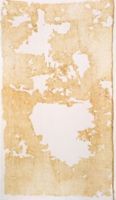 KN009930