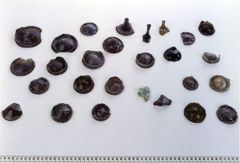Ensemble de fonds de verres communs