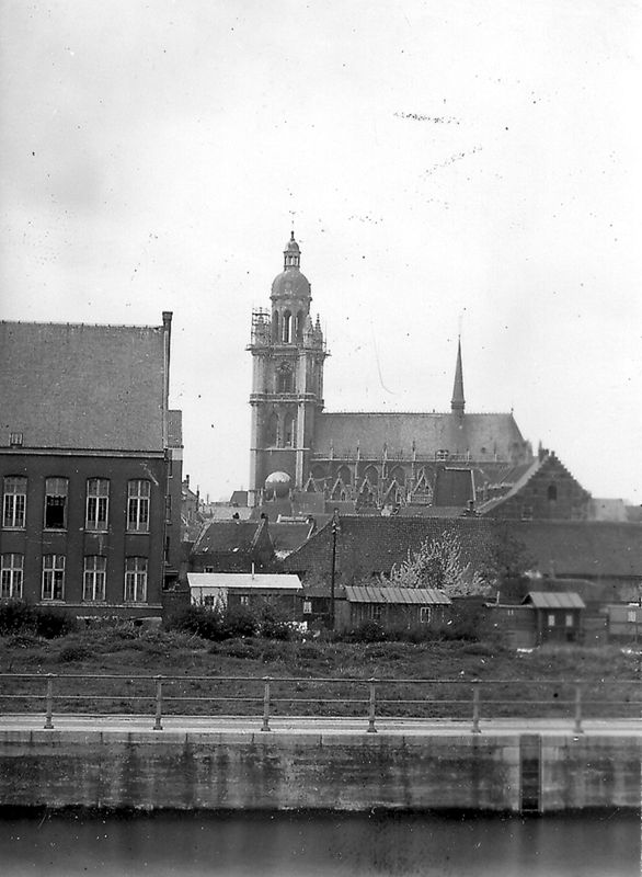 basilique / Kerk Sint-Martinus[Halle]