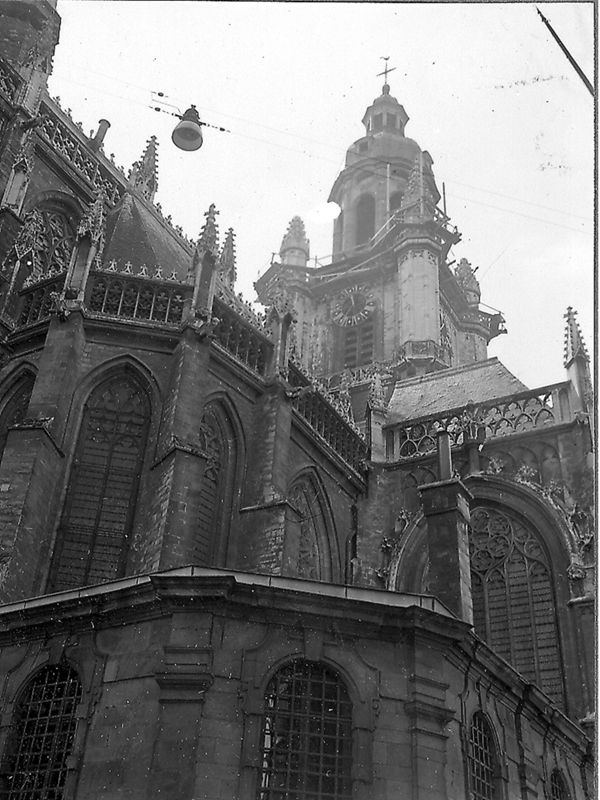 basilique / Kerk Sint-Martinus[Halle]