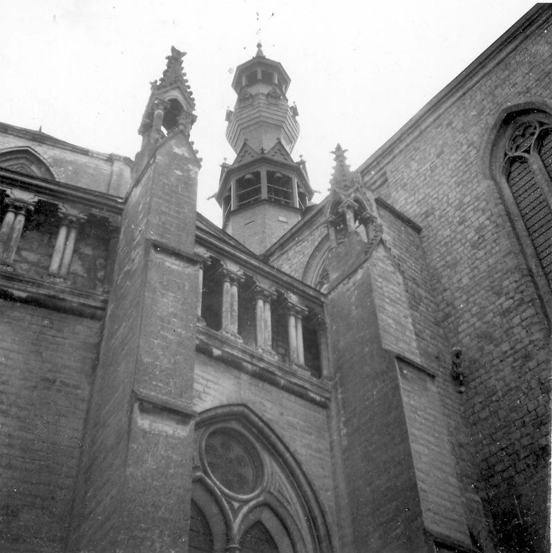 collégiale / Kerk Sint-Leonardus[Zoutleeuw]