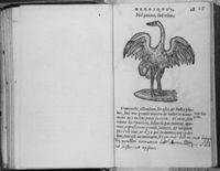 M004019