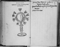 M004029