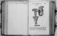 M004059
