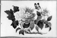 M004364