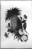 M004395