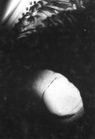 M005394
