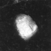 M005396