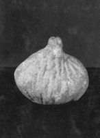M005645