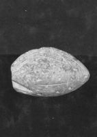 M005646