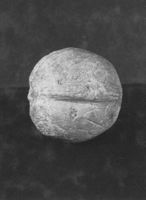 M005647