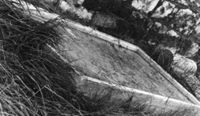 M009645